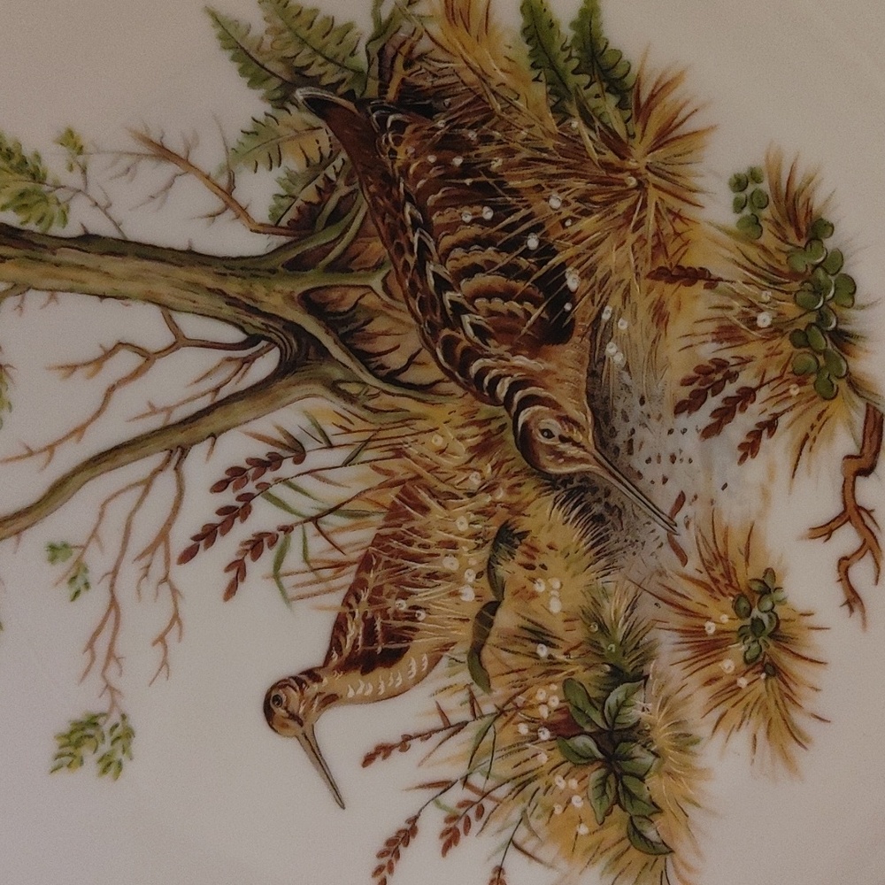 6 Bareuther Waldsassen Wildlife Transferware Porcelain Luncheon Plates - Picture 10 of 17
